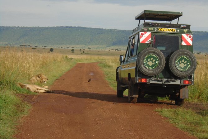 Lake Nakuru, Naivasha & Masai Mara 4 Days Private Jeep Safari - Lake Nakuru, a strong stop for rhinos and birds