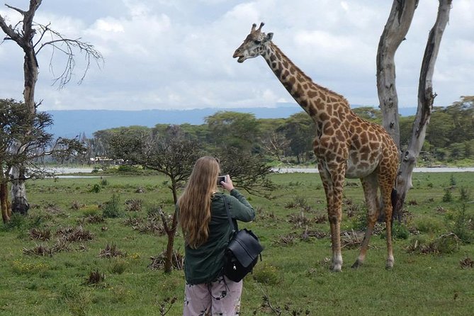 Lake Nakuru National Park: Day Trip from Nairobi - Flamingos, rhinos, and the birdlife around Lake Nakuru