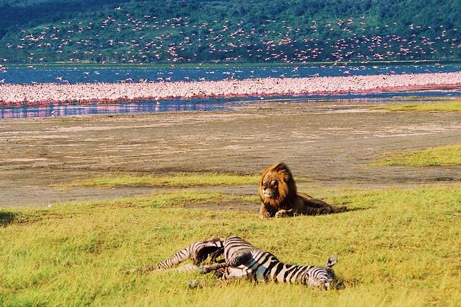 Lake Nakuru National Park: Day Trip from Nairobi - Who should book this Lake Nakuru outing