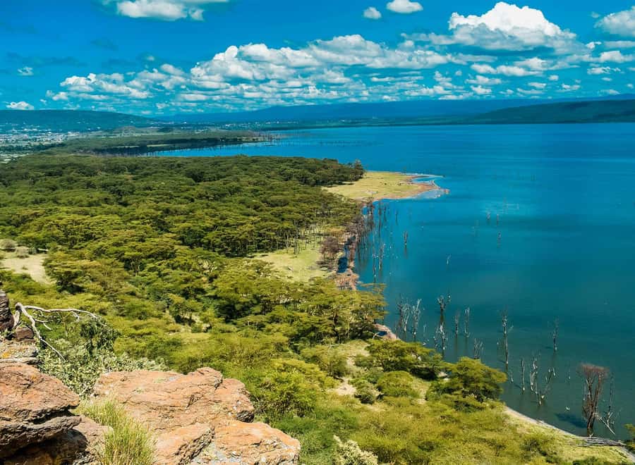 Lake Nakuru National Park: Daytrip in a 4X4 Private Jeep - The Great Rift Valley viewpoint