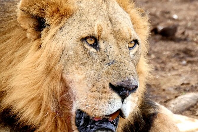 Lake Nakuru NP Half-Day Safari - A compact morning at Lake Nakuru