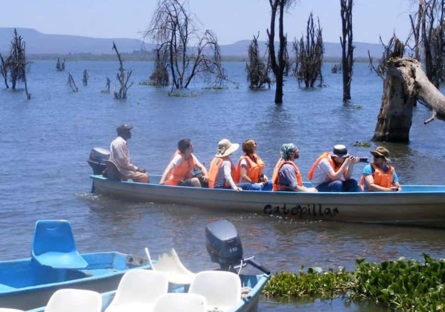 Lakes Nakuru& Naivasha National Park Wildlife Highlights - Practical advice for a smoother day
