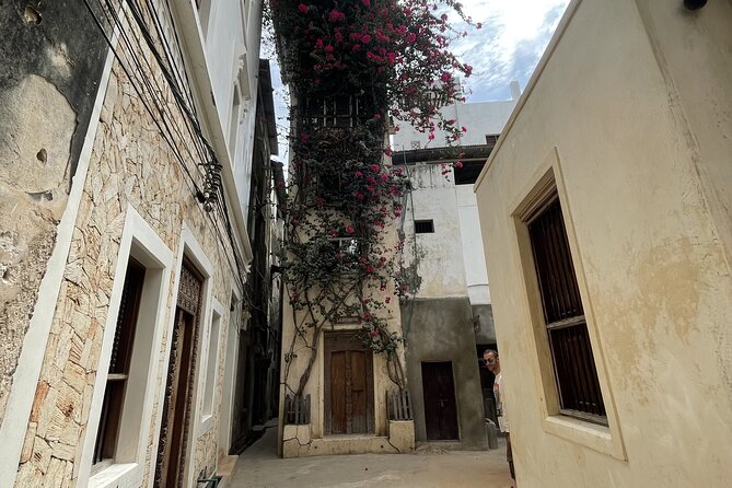 Lamu Old Town Walking Tour - Why Lamu is best seen from its narrow lanes