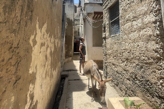 Lamu Old Town Walking Tour - Lamu Museum and Swahili house design