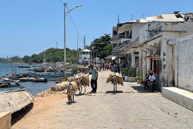 Lamu Old Town Walking Tour - Food, accommodation, and practical local advice