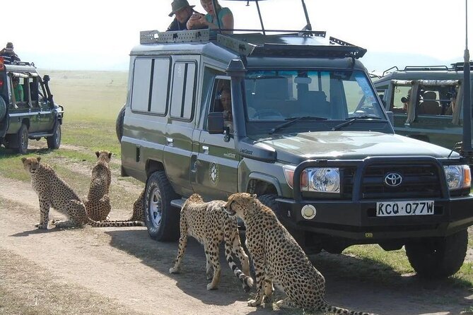 Maasai Mara 3 Day Guided Tour - Who will get the most from this safari