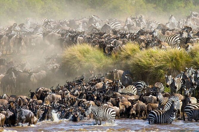 Maasai Mara 3 Day Guided Tour - A full safari day in Maasai Mara
