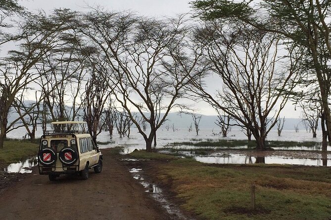 Maasai Mara Day Trip - Arriving at Maasai Mara around 9am
