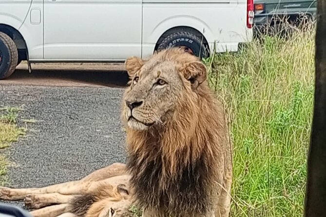 Maasai Mara Day Trip - Transport, guiding, and comfort over 12 hours