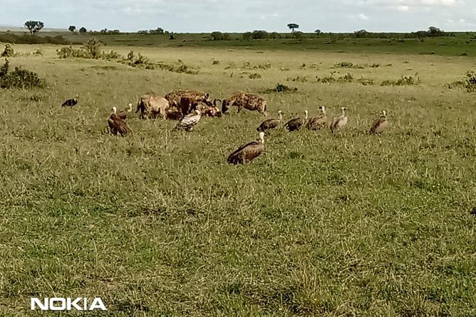 Maasai Mara Game Reserve - The optional Maasai Boma visit