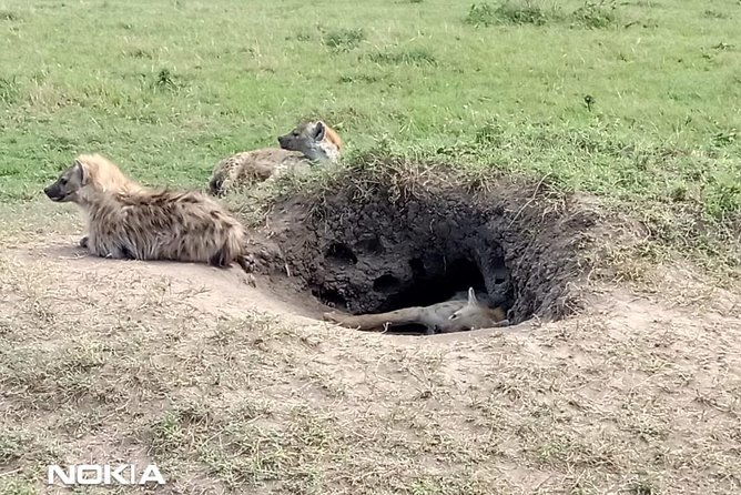 Maasai Mara Game Reserve - What the private vehicle changes