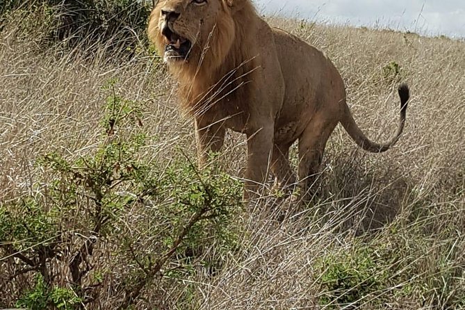 Maasai Mara Game Reserve - Physical effort and practical comfort