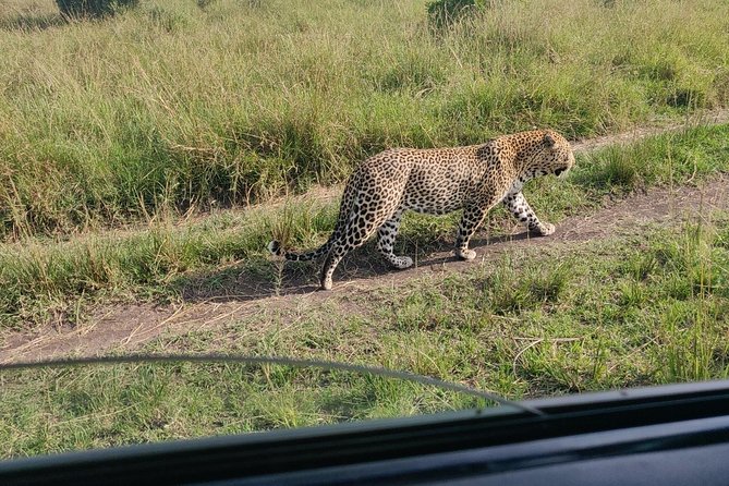 Maasai Mara Safari!! - Why three days works for the Maasai Mara