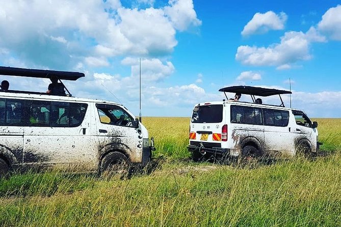 Maasai Mara Safari!! - A full day searching the plains