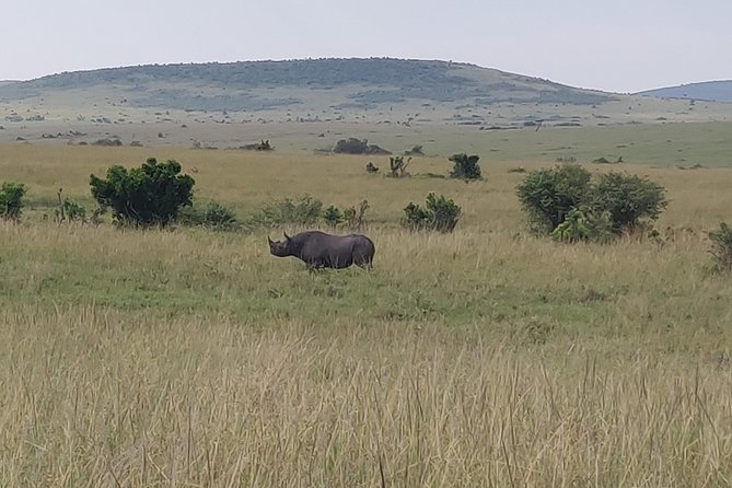 Maasai Mara Safari!! - The Maasai village option on the final morning