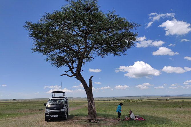 Maasai Mara Safari!! - What the guide adds to the experience
