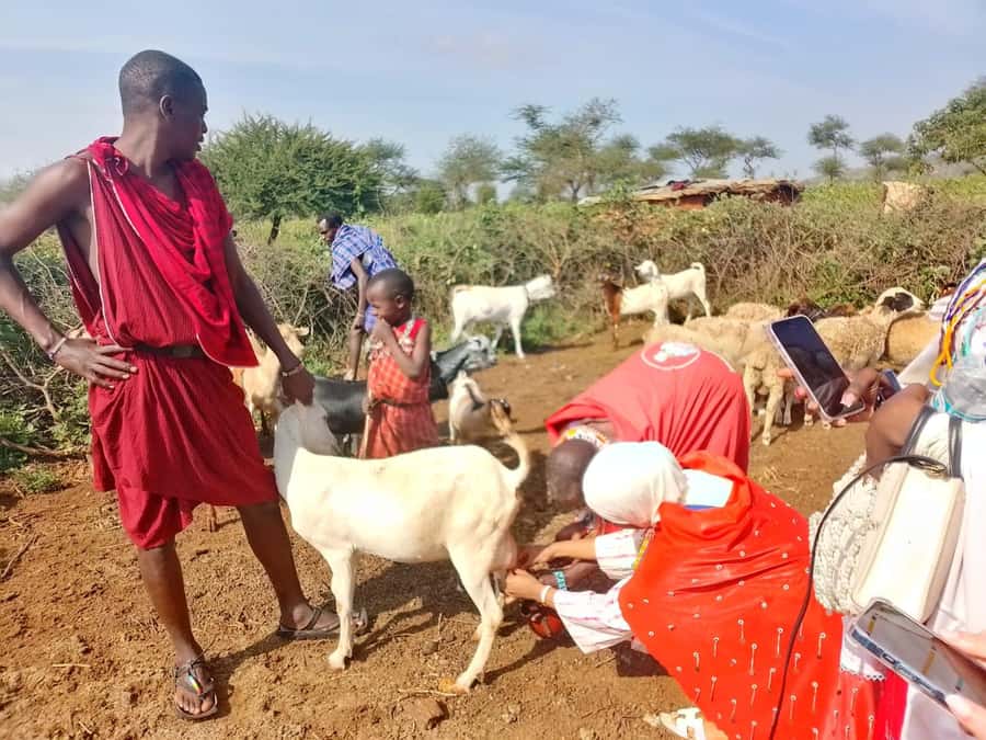 Maasai Village: Cultural Experience of The Maasai Tradition - Making fire without matches