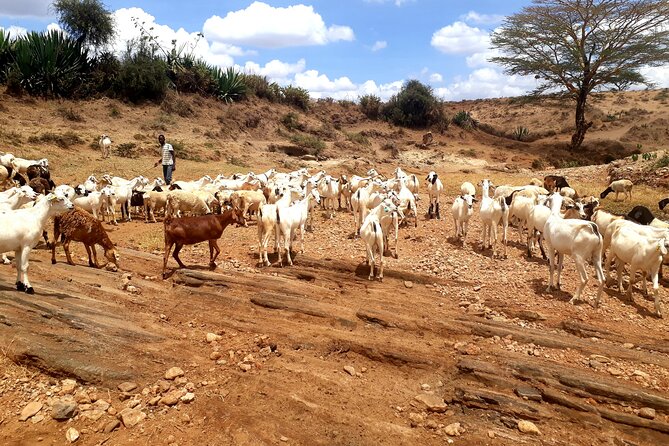 Maasai Village Experience Day Tour - Who will enjoy this day most?