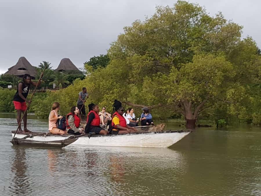 mangrove tour - Key points to know before booking