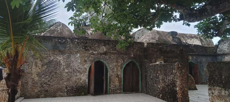 mangrove tour - Booking details worth keeping in mind