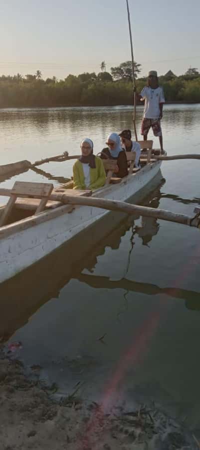 mangrove tour - Birdwatching along the Kongo River