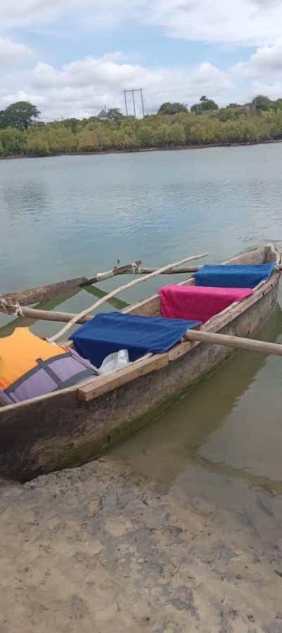 mangrove tour - The sunset finish, weather permitting