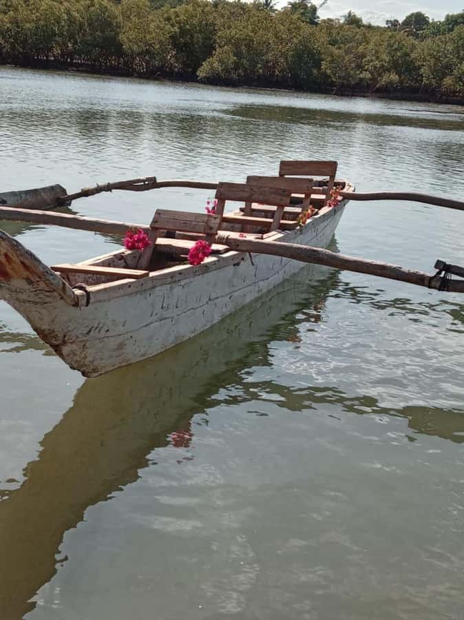 mangrove tour - Is $65 per person fair value?