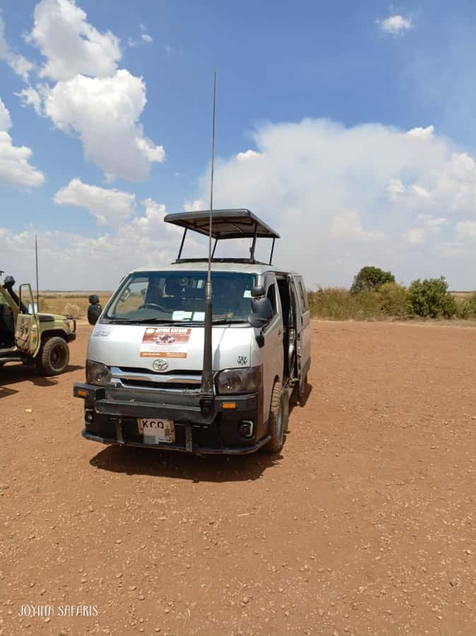 Masai Mara: 3-Day Group Joining Safari by Land Cruiser - Should you book the Masai Mara group safari?
