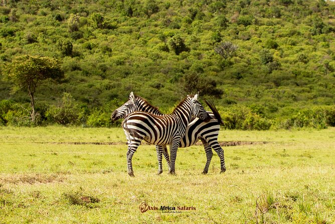 Masai Mara 3 Days Tour Safari Private 4WD Landcruiser - Booking, timing, and cancellation details
