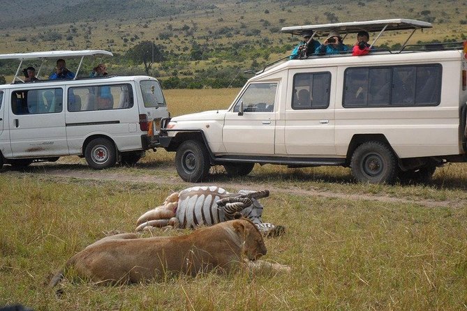 Masai Mara Budget 2 nights tented camp road Safari - Key points to know before booking