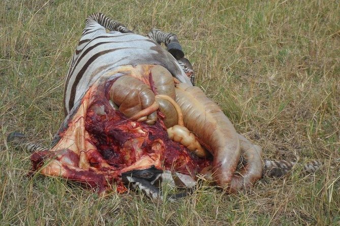 Masai Mara Budget 2 nights tented camp road Safari - The long road from Nairobi to the Mara