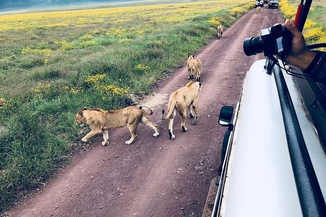 Masai Mara classic safari with optional Masai Village - Staying at Mara Sopa Lodge