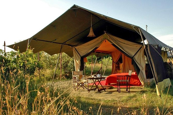 Masai Mara Game Reserve Safari Tour, 4 Days 3 Nights - Day two: a full day among lions, elephants, and open grassland