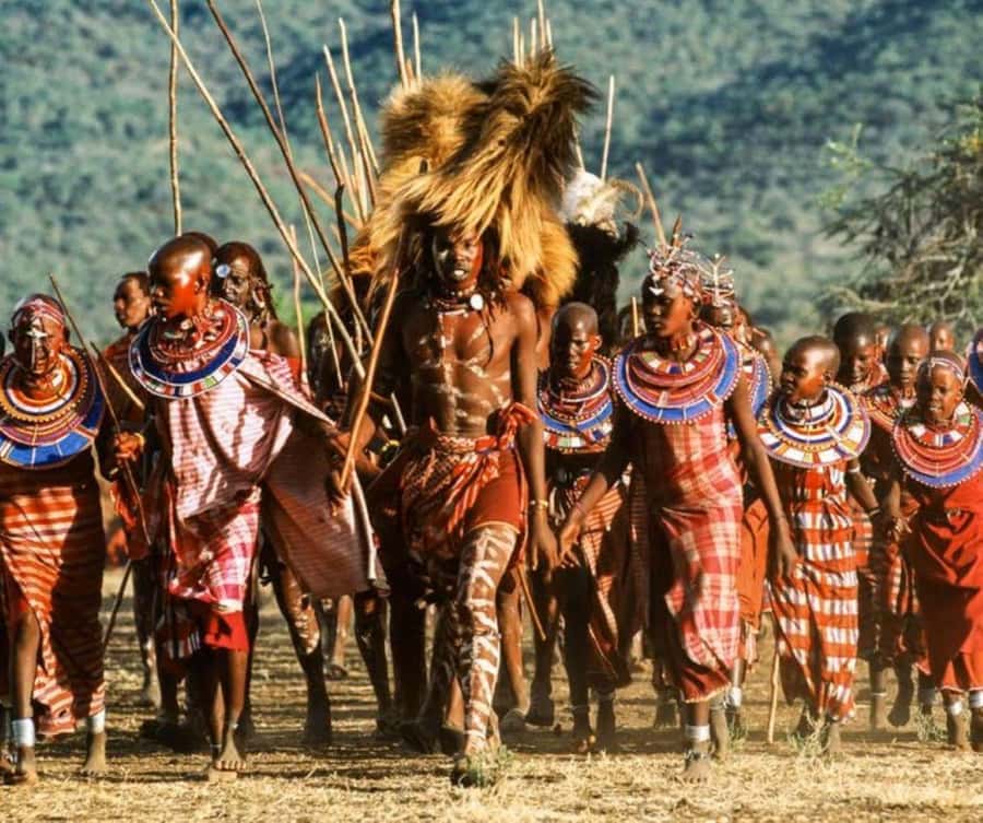Masai Village Cultural Day Tour from Nairobi - Why this Maasai visit adds something different to Nairobi