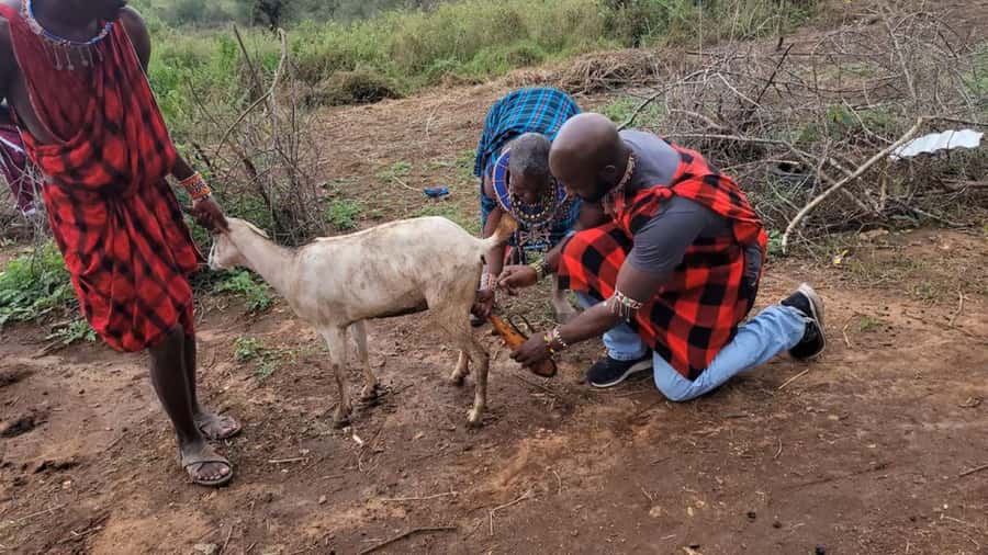 Masai Village Cultural Day Tour from Nairobi - The drive from Nairobi to Kajiado