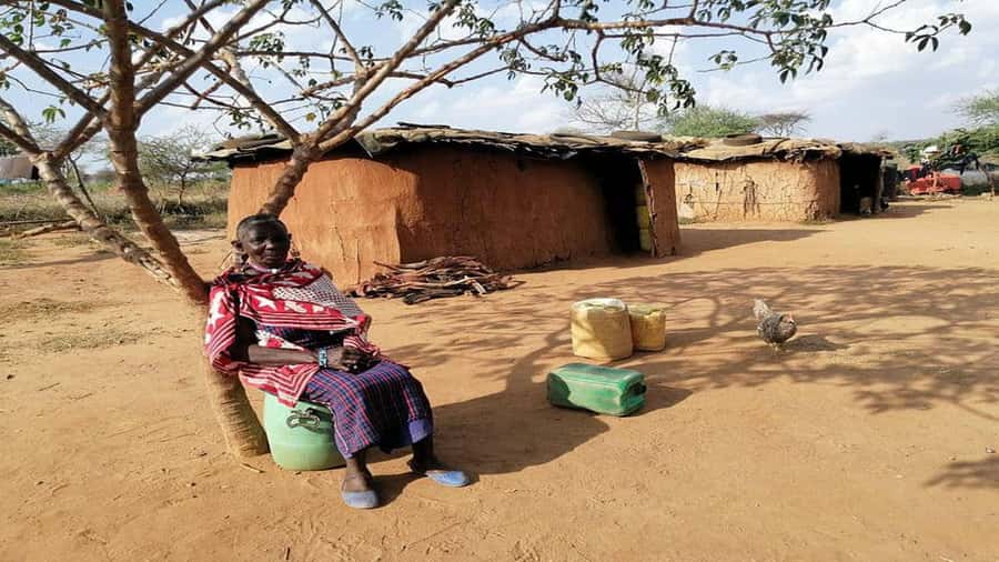 Masai Village Experience (Day trip) - The cattle market and shopping town add local context