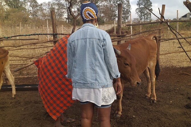 Masai village visit from Nairobi day tour - A small village can offer a more direct encounter