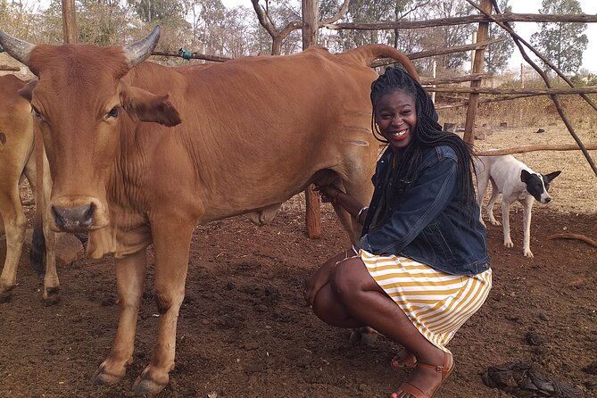 Masai village visit from Nairobi day tour - Practical advice for a smoother day