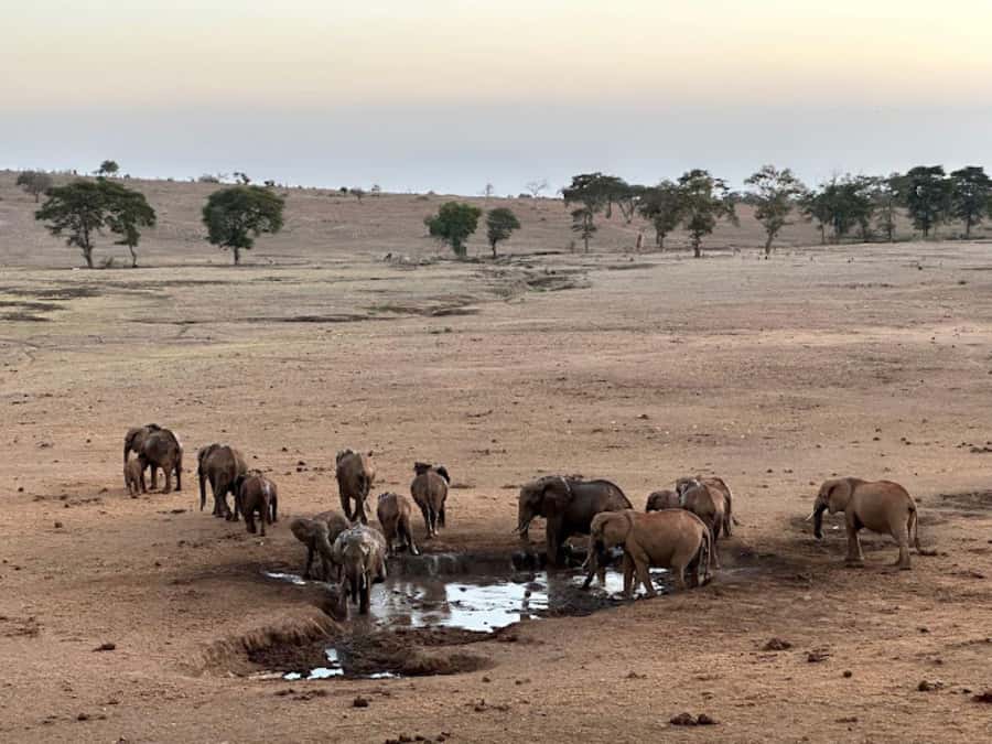 Mombasa: 2-Day Safari to Taita Hills Game Sanctuary - Shared vehicle or private group?