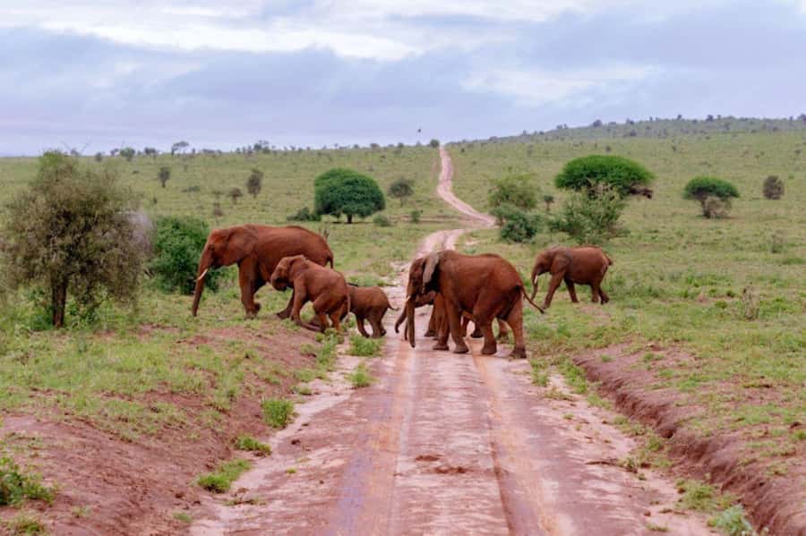 Mombasa: 2-Day Safari to Taita Hills Game Sanctuary - Who will get the most from this safari?
