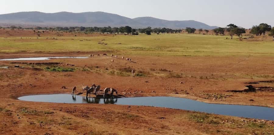 Mombasa: 2-Day Safari to Taita Hills Game Sanctuary - Should you book the Taita Hills overnight safari?