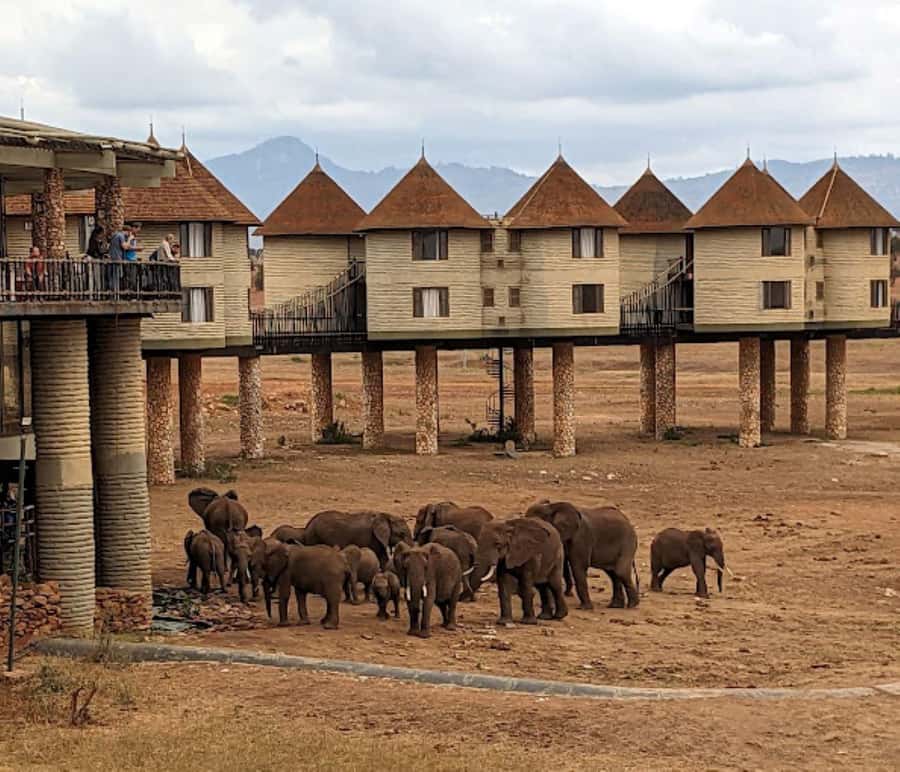 Mombasa: 2-Day Safari to Taita Hills Game Sanctuary - First sightings inside Taita Hills Game Sanctuary