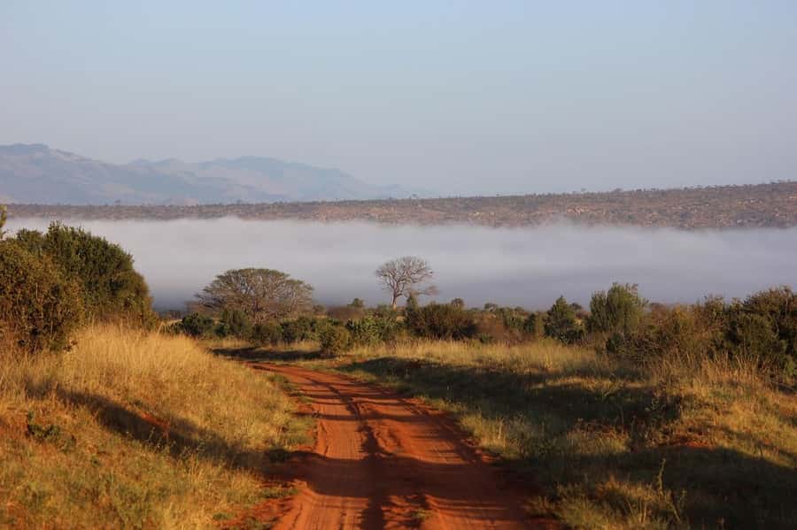 Mombasa: 3-Days 2-Nights Tsavo East and West Private Safari. - What to pack for the red dust and early starts