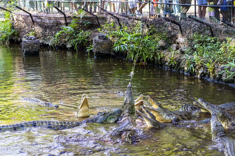 Mombasa City Tour: Fort Jesus Museum, Old Town & Haller Park - Sea views at Mama Ngina Waterfront