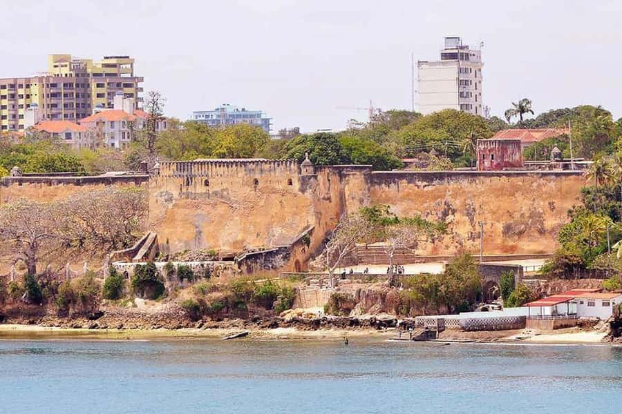 Mombasa: Discovery Day Tour and Haller Park - Why this Mombasa day works so well