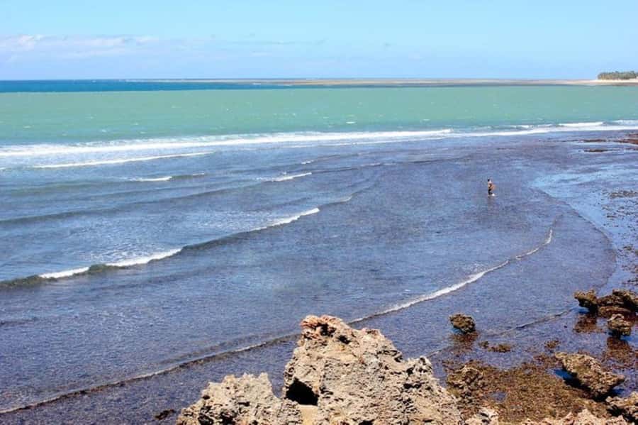Mombasa: Discovery Day Tour and Haller Park - Is $130 per person good value?