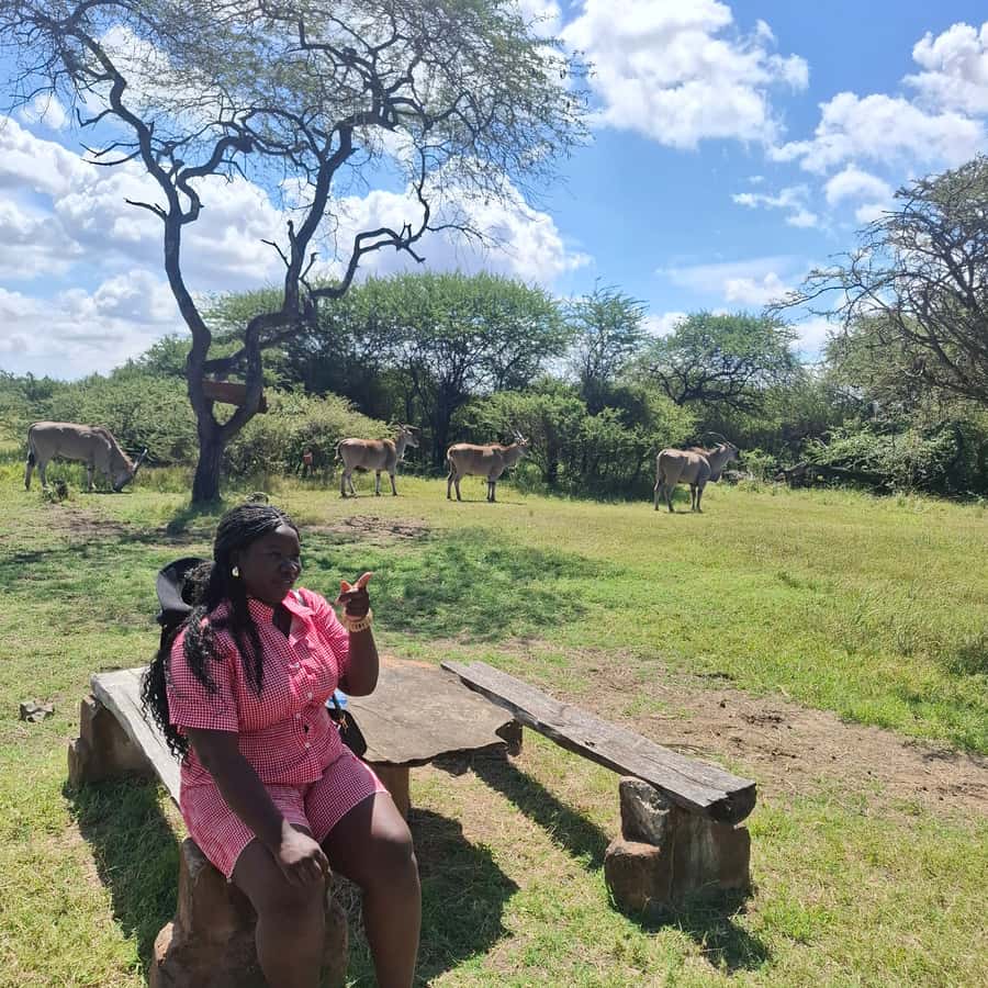 MOMBASA:FortJesus,OldCity,GiraffeOstrich,Oryx,Eland,WildTour - Why this Mombasa tour works so well