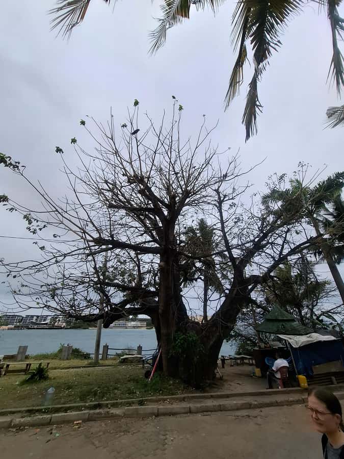 MOMBASA:FortJesus,OldTown,SpiceMarket, Shiva Temple DayTour. - John’s flexible guiding style