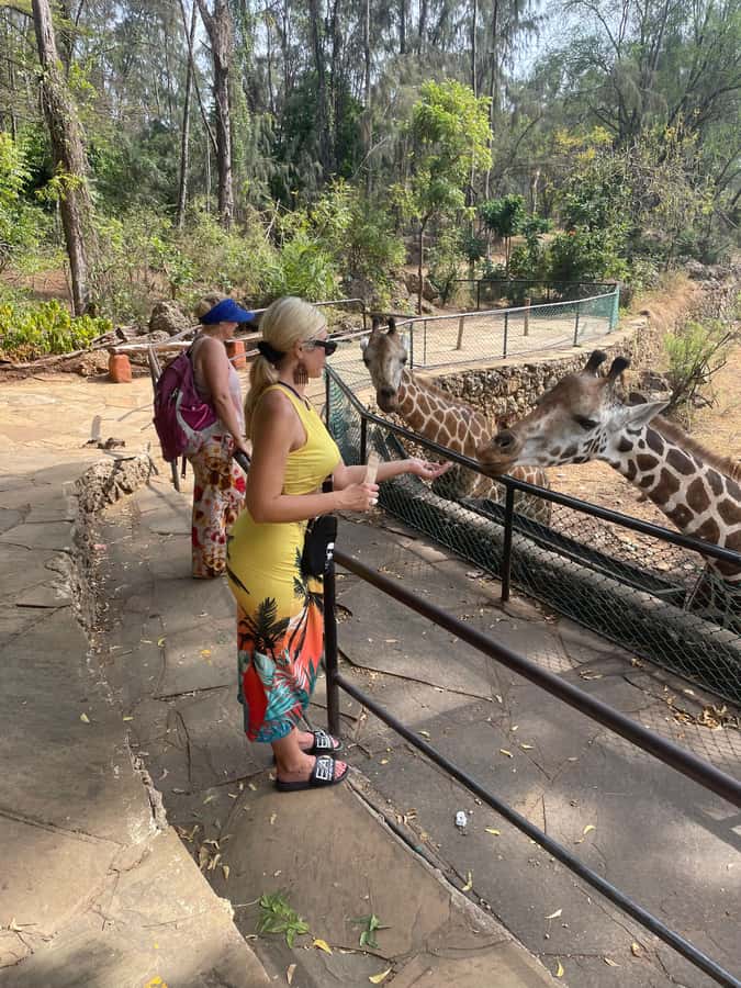 Mombasa Full Day City tour & Haller Park - The Tusks and the garden of flying foxes