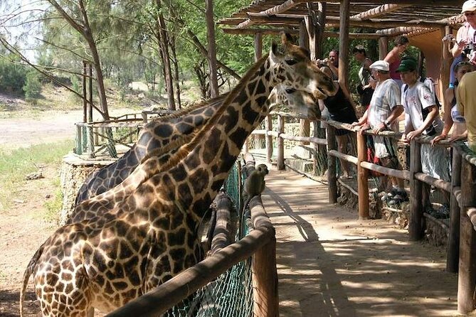 Mombasa Getaway with Haller Park Tours - Mama Ngina’s Drive, public space with a long memory